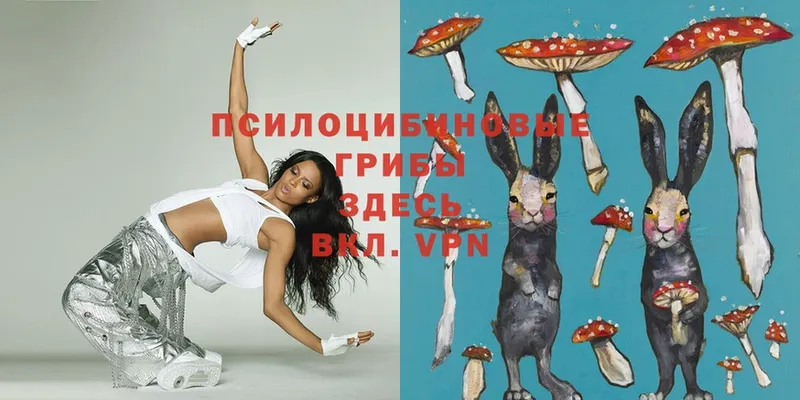 MEGA как войти  Макушино  Псилоцибиновые грибы Psilocybe 